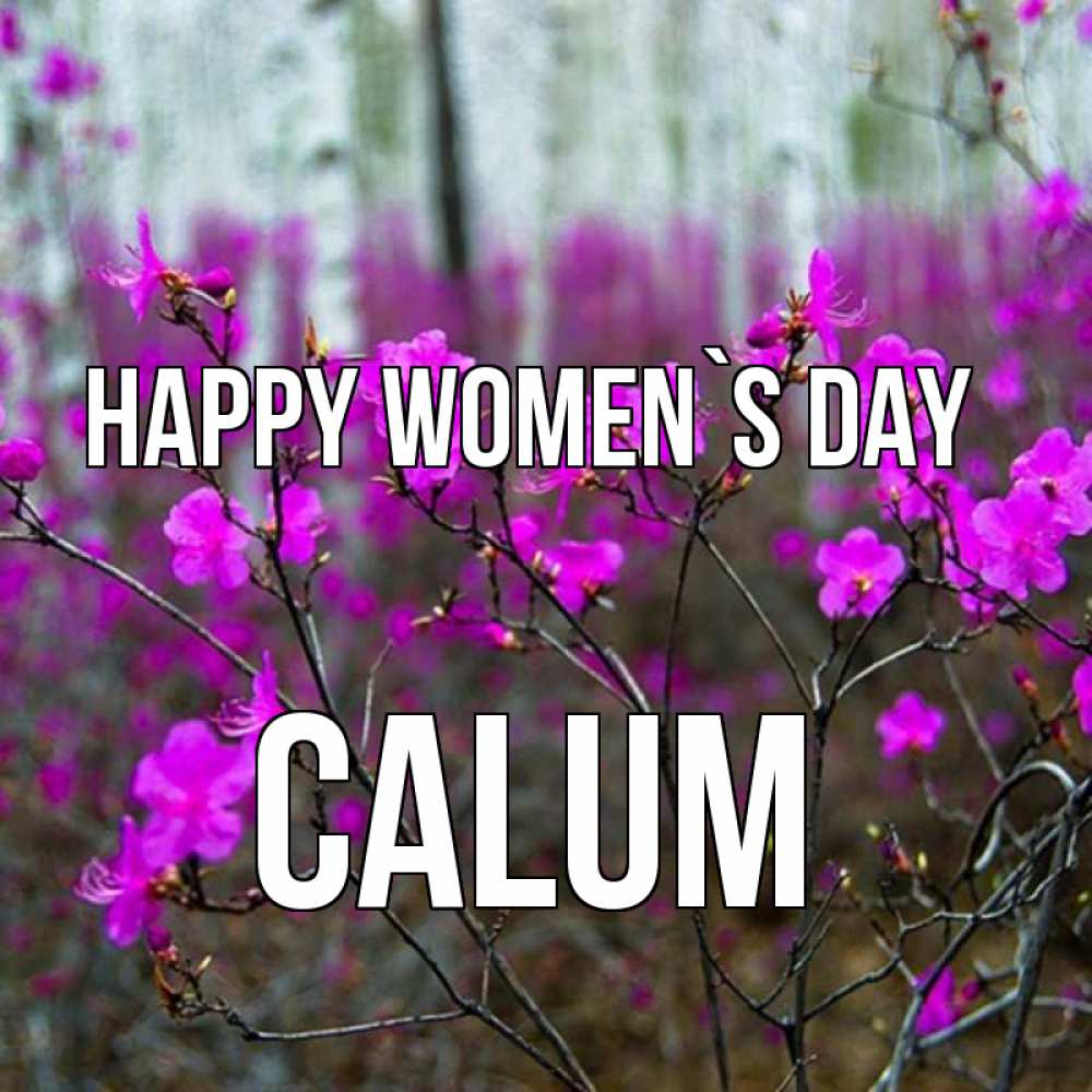 Greetings card с именем, Calum happy women`s day дикие цветы Greetings with text for free download 